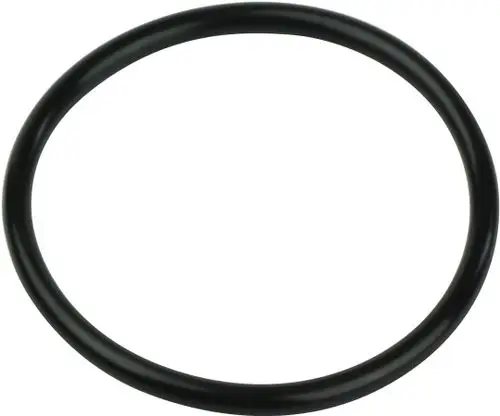 Schwarzer O-Ring, rund und flexibel, geeignet für Dichtungen. Bosch Logo ist gut sichtbar.
